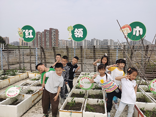 享劳动之乐 赴成长之约——彭州市延秀小学劳动教育实践活动