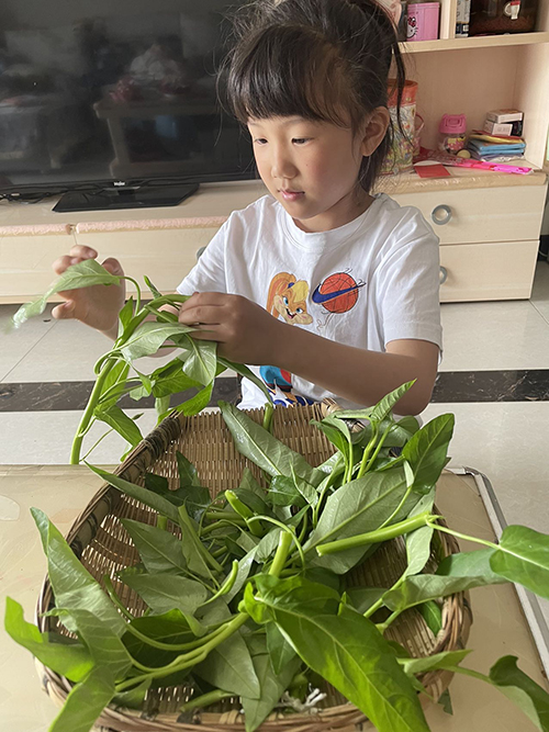 享劳动之乐 赴成长之约——彭州市延秀小学劳动教育实践活动