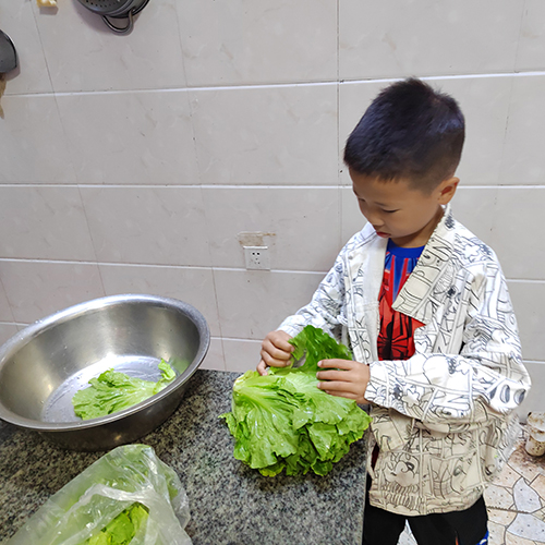 享劳动之乐 赴成长之约——彭州市延秀小学劳动教育实践活动