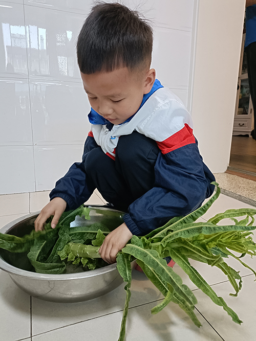 享劳动之乐 赴成长之约——彭州市延秀小学劳动教育实践活动