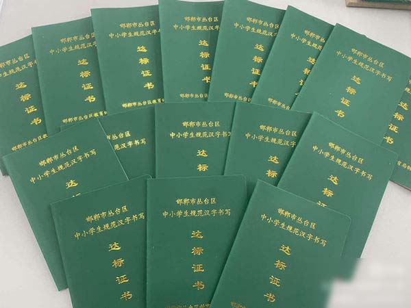 关爱学生幸福成长·教育治理篇｜邯郸市丛台区实验第三小学硬笔书写达标过级测评