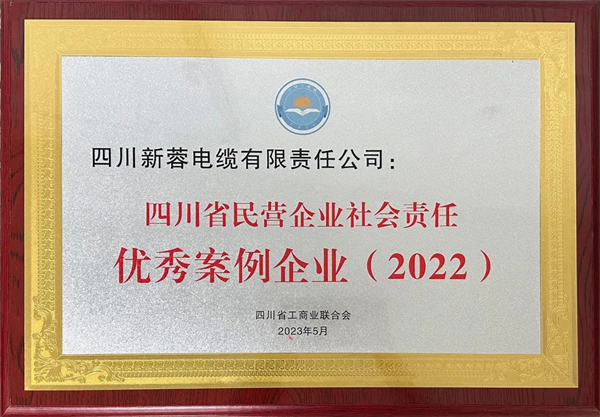 四川新蓉电缆有限责任公司入选2022年四川十大民营企业社会责任优秀案例企业