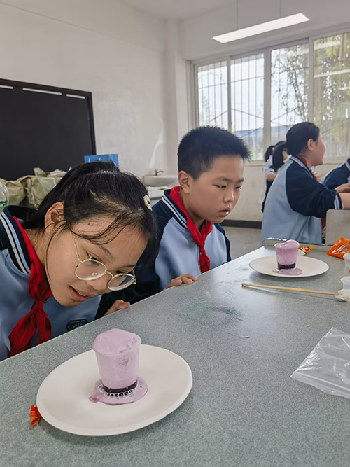 彭州市升平小学开展科技活动进校园活动