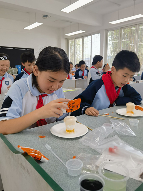 彭州市升平小学开展科技活动进校园活动