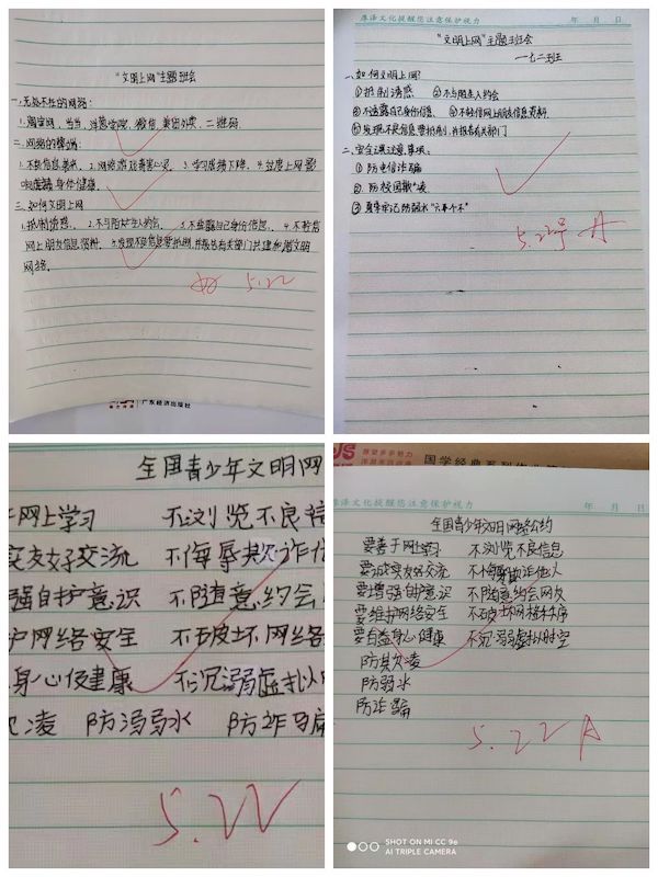  关爱学生幸福成长 · 关爱健康篇丨邯郸市丛台区北湖中学开展“文明上网”主题班会活动