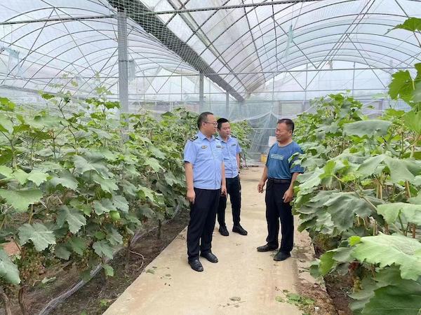 河北永年：地理标志“金钥匙”开启农民“致富门”