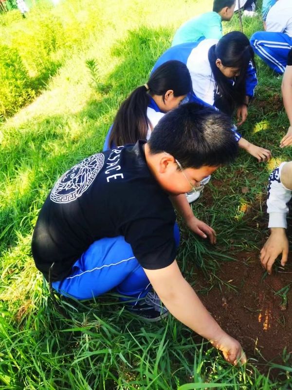 快乐劳动 幸福成长——广平县童心小学开展劳动实践活动