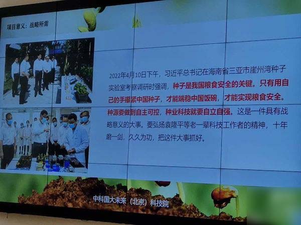 太空种子在“连城”安家了——邯郸市丛台区连城小学种植太空种子活动纪实