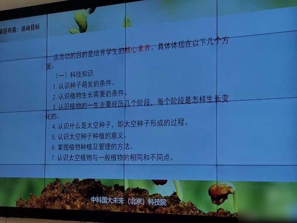 太空种子在“连城”安家了——邯郸市丛台区连城小学种植太空种子活动纪实