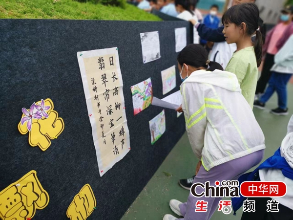 烟台教育：落实“双减”万华小学主题诗词大会
