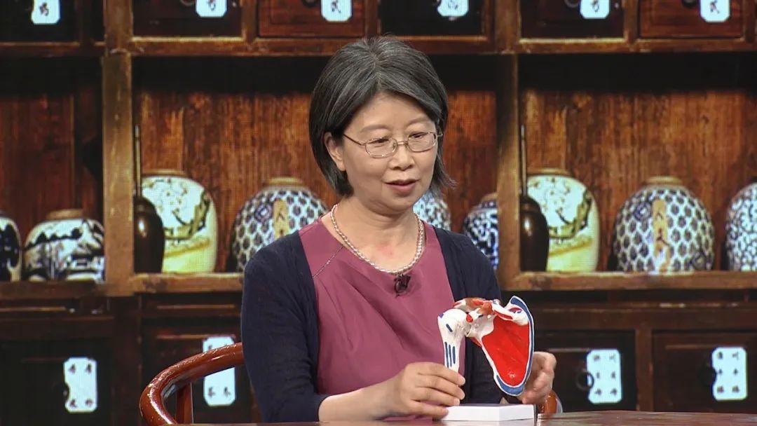 东城中医医院特聘专家华英做客《记忆·国医》：不是所有的肩痛都是肩周炎