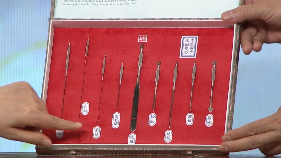 东城中医医院特聘专家华英做客《记忆·国医》：不是所有的肩痛都是肩周炎