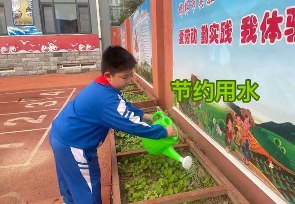 实小在行动||保护环境，绿色“童”行——邯郸市实验小学开展生态环境保护月系列活动