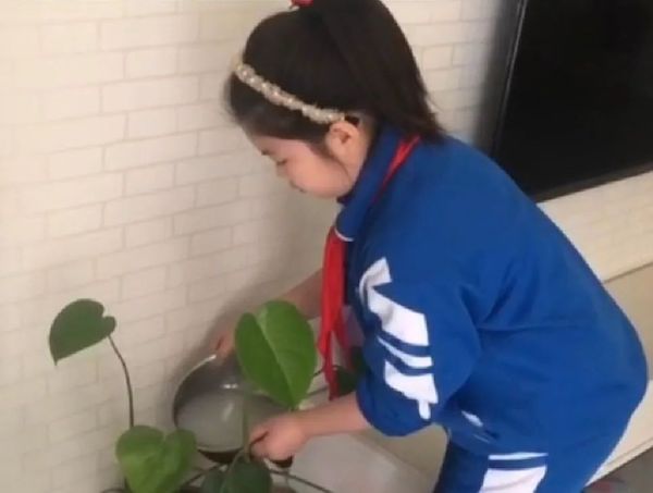 实小在行动||保护环境，绿色“童”行——邯郸市实验小学开展生态环境保护月系列活动