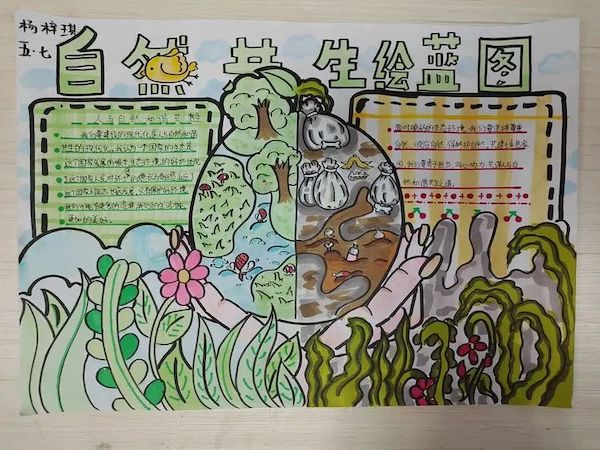 实小在行动||保护环境，绿色“童”行——邯郸市实验小学开展生态环境保护月系列活动