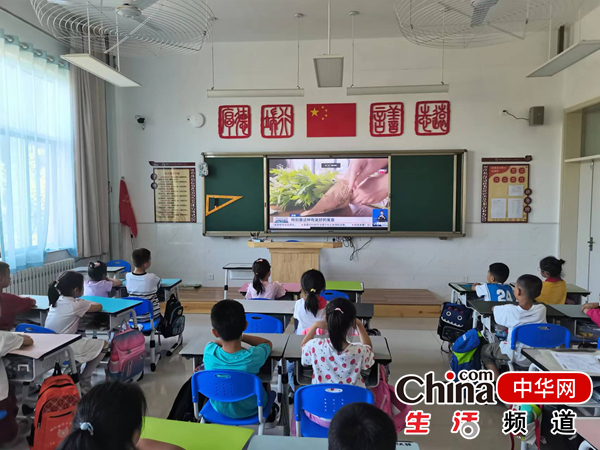 烟台大学附属中学石明校区开展端午节主题教育活动