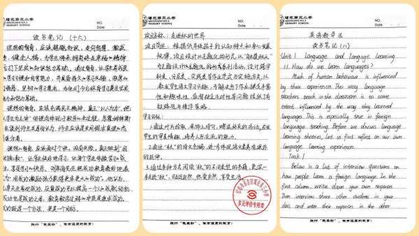 关爱学生 幸福成长“双减”提质篇|邯郸市丛台区曙光第三小学教师素养提升系列活动