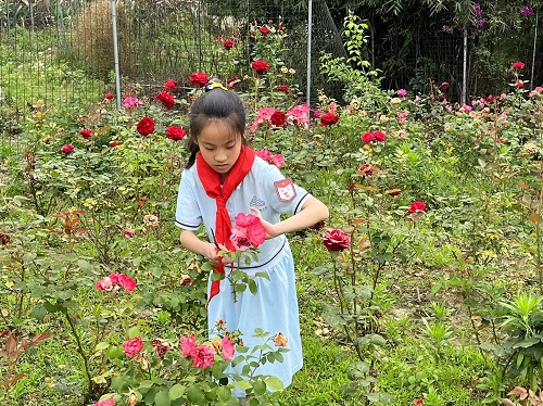 来实小邂逅浪漫的劳动之旅吧———彭州市实验小学幸福田园劳动实践活动进行时