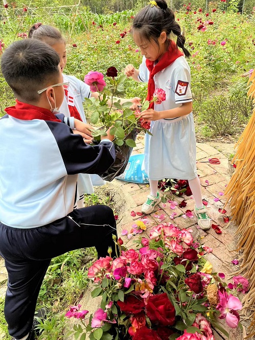 来实小邂逅浪漫的劳动之旅吧———彭州市实验小学幸福田园劳动实践活动进行时
