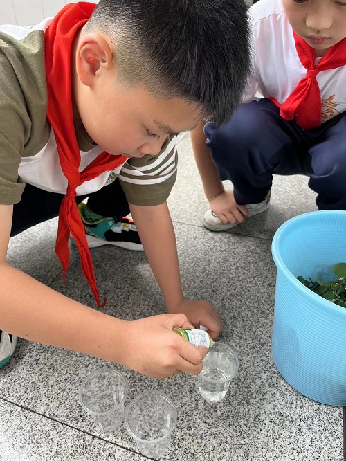来实小邂逅浪漫的劳动之旅吧———彭州市实验小学幸福田园劳动实践活动进行时
