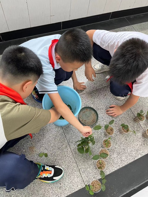 来实小邂逅浪漫的劳动之旅吧———彭州市实验小学幸福田园劳动实践活动进行时
