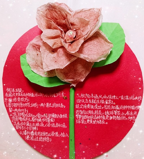 来实小邂逅浪漫的劳动之旅吧———彭州市实验小学幸福田园劳动实践活动进行时