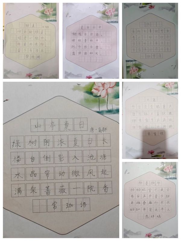【关爱学生幸福成长】清凉不远•大暑快乐——邯郸市丛台区第二实验小学二十四节气之大暑