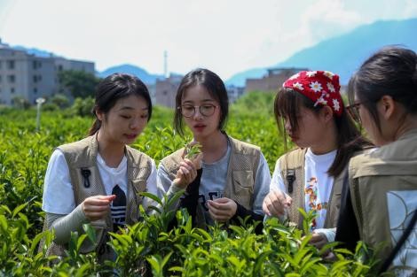 探忆峥嵘潮州，“艺”起振兴乡村