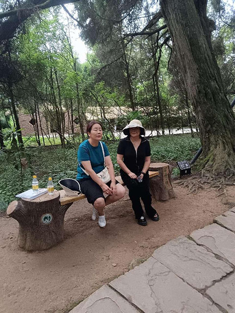 明珠翠云廊 千年仍青春