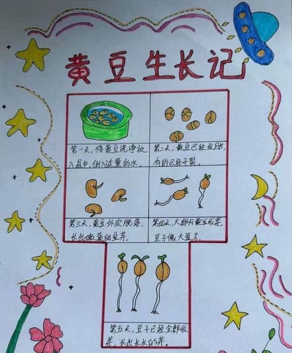 家庭实验室，让科学课从课堂走进生活—邯郸市丛台区曙光第二小学科学实践活动