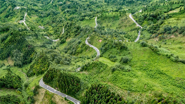 重磅！邛崃市喜获国际山地徒步旅游大奖