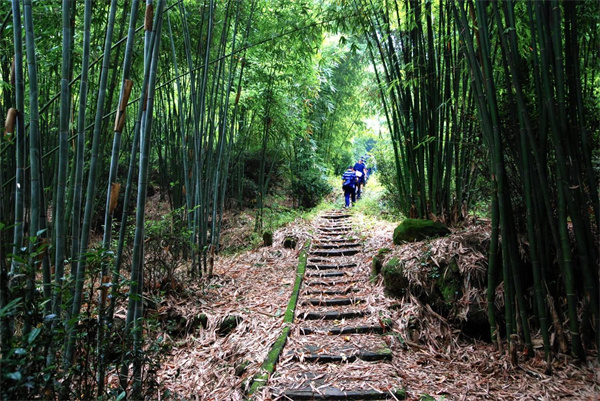重磅！邛崃市喜获国际山地徒步旅游大奖