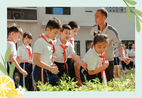 劳动庆丰收   实践助成长 邯郸市丛台区曙光第二小学“丰收节”活动