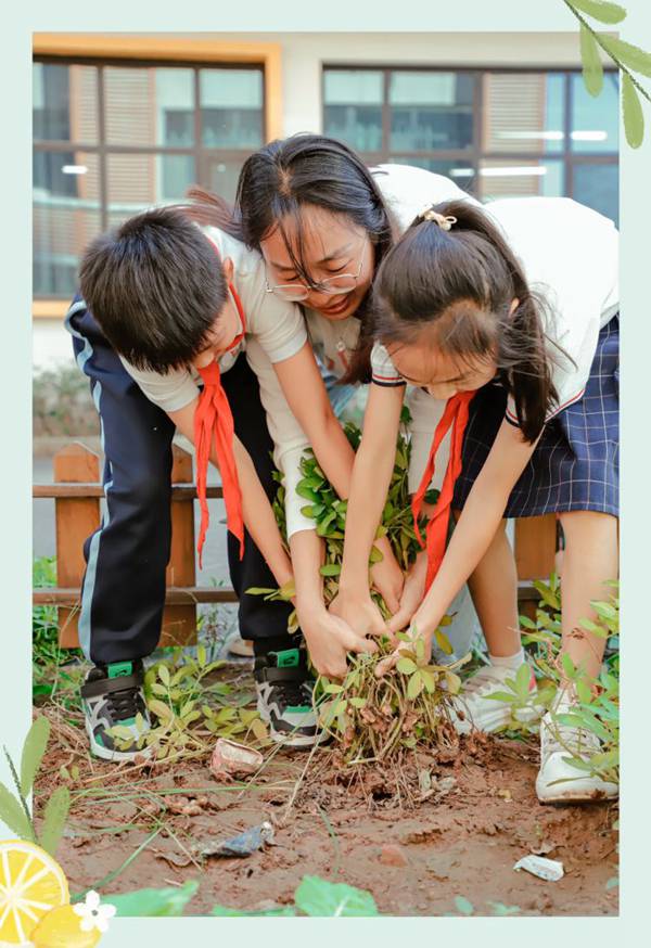 劳动庆丰收   实践助成长 邯郸市丛台区曙光第二小学“丰收节”活动