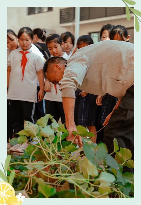 劳动庆丰收   实践助成长 邯郸市丛台区曙光第二小学“丰收节”活动