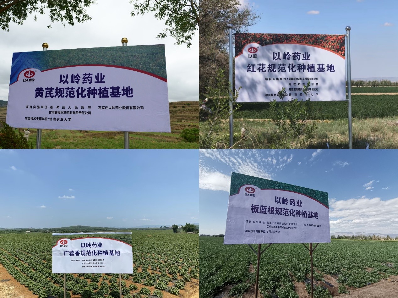 以岭配方颗粒：上游严控基地药材质量，下游严把生产质检标准