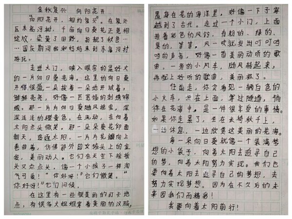 “向阳花开 乡约复兴”——邯郸市复兴经济开发区第一小学亲子研学活动
