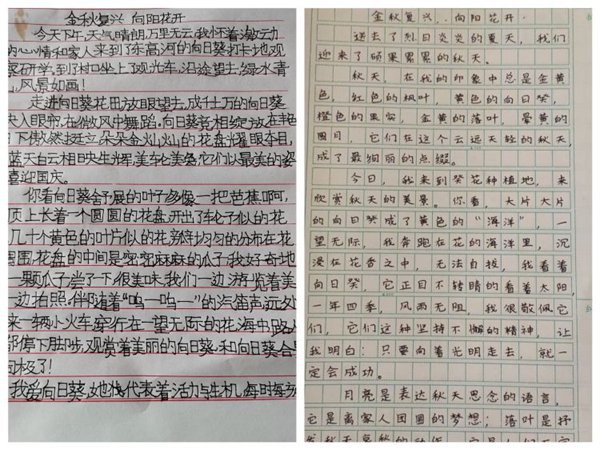 “向阳花开 乡约复兴”——邯郸市复兴经济开发区第一小学亲子研学活动