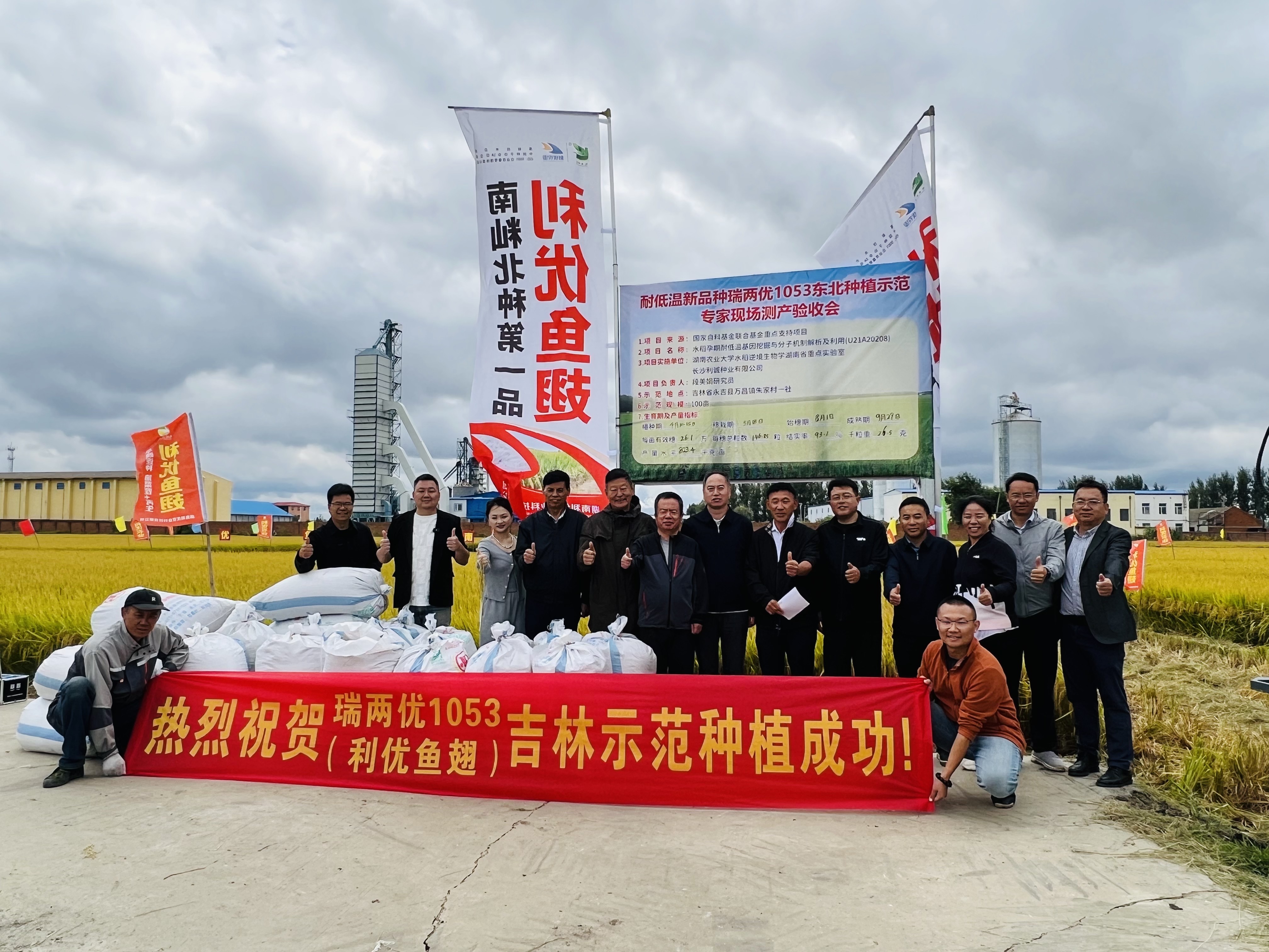 “裕珍香”东北试种成功，更配湘菜的大米来了