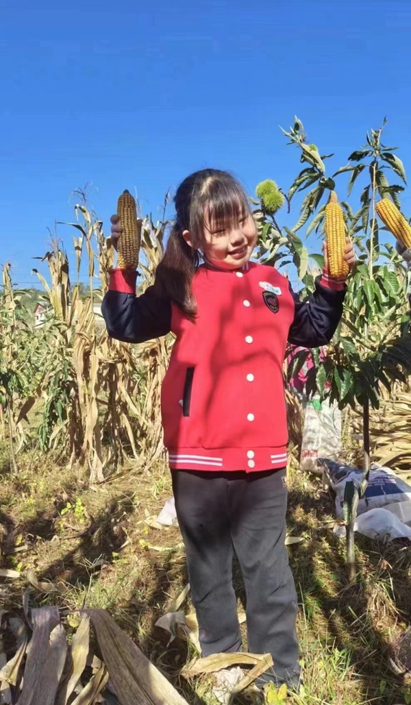 颗粒归仓秋收忙——邢台市第二十三中学开展庆丰收主题教育实践活动