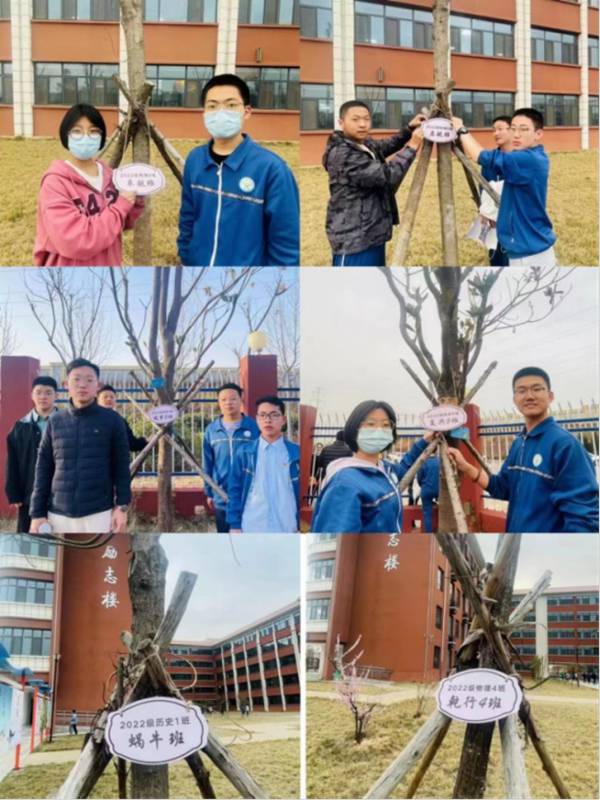 热烈庆祝邯郸市第五中学荣获“邯郸市绿色学校”
