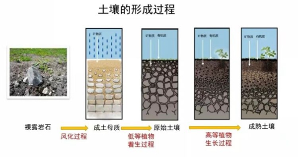 地质科普进校园 探索神秘自然——邯郸市丛台区荀子实验第三小学土壤科普进课堂