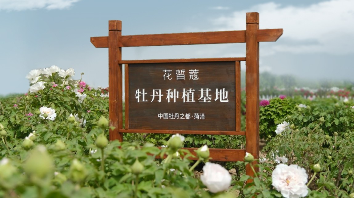 “牡丹唇油霜”北大夫妇抖音直播首发，花皙蔻牡丹产品又添新成员