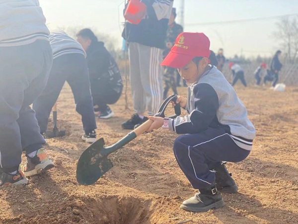 德育润心向未来|邯郸市丛台区荀子实验第三小学年度政教工作总结