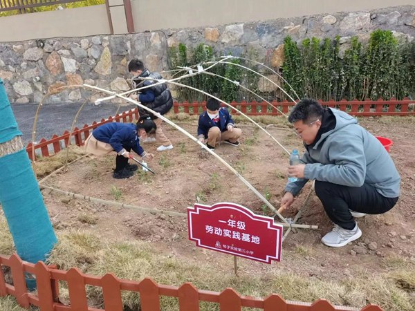 德育润心向未来|邯郸市丛台区荀子实验第三小学年度政教工作总结