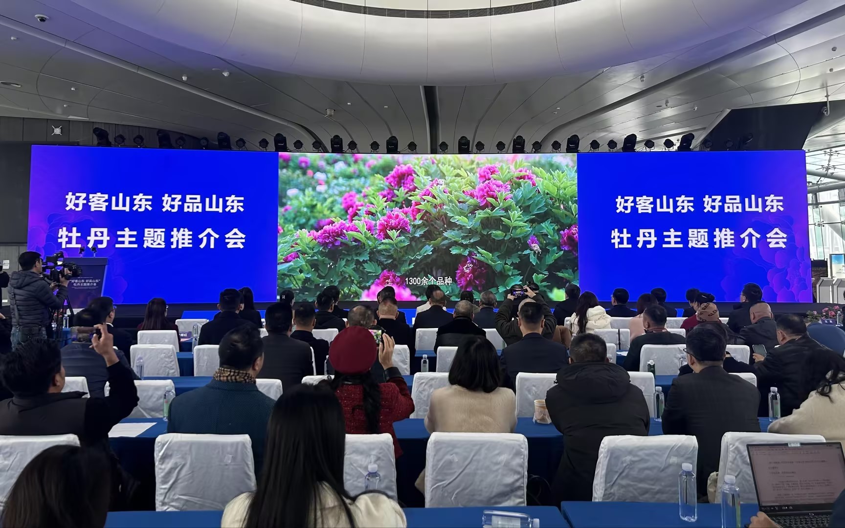 “好客山东 好品山东”牡丹主题推介会在广州举行，花皙蔻应邀出席