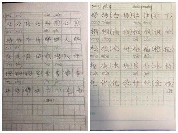吟诵经典  喜迎新年——邯郸市丛台区学步桥小学“读写诵”寒假专辑（第二期）