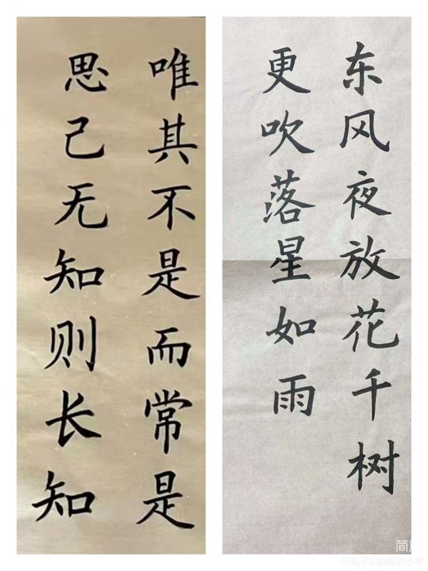 【荀启华章·肆意绽放】——邯郸市丛台区荀子实验第四小学寒假“读写诵”活动（四）
