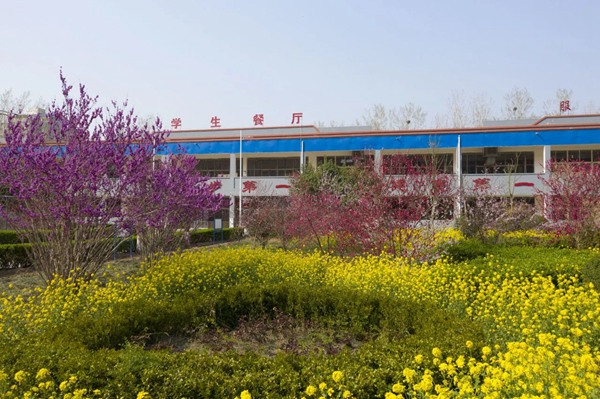邯郸市大名县第一中学教育集团系列介绍（二）——邯郸市大名县第一中学
