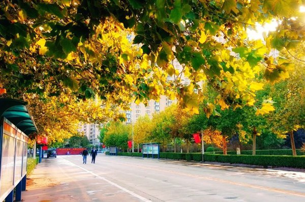 邯郸市大名县第一中学教育集团系列介绍（二）——邯郸市大名县第一中学